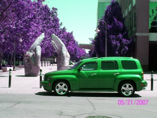 Green Tinted Windows