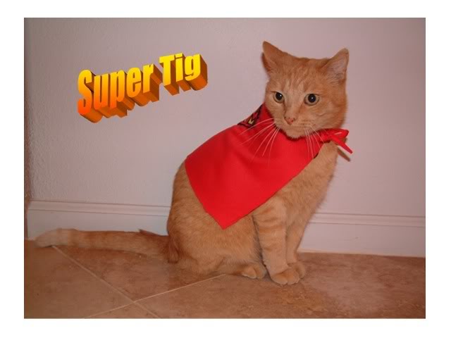 Name:  SuperTig.jpg
Views: 20
Size:  27.5 KB